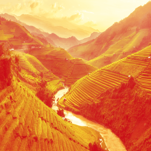 Glads WOK nūdeles ar «Mie Goreng» aromatizētu mērci