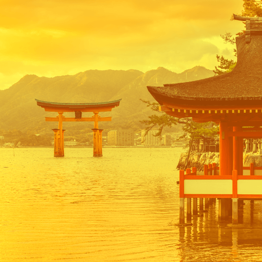 Glads WOK nūdeles ar «Chicken&nbsp;Teriyaki» mērci